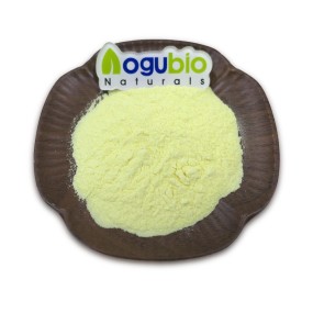 AOGBIO Brand Ingredients High Quality Nutritious Aquafaba Powder Organic Vegetarian Cooking Very Conscientious Aquafaba Powder