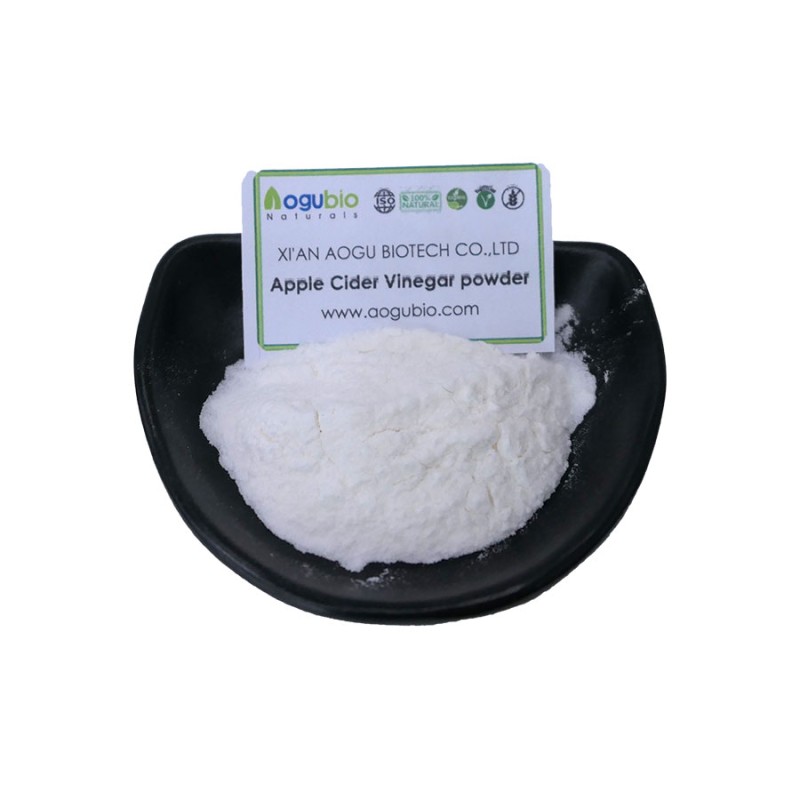 Health Supplement Organic Apple Cider Vinegar Powder Wholesale Price Apple Cider Vinegar Powder