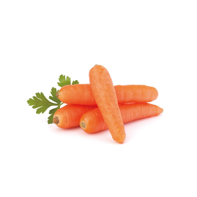 100% Pure Organic Carrot Powder Dehydrated Carrot Powder