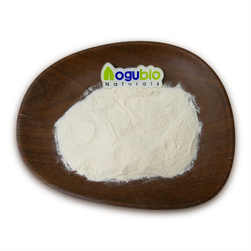 AOGUBIO Supply High Quality Lactobacillus Acidophilus Probiotics 3 Billion CFU Lactobacillus Acidophilus Powder