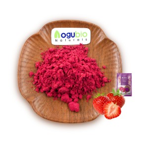 AOGUBIO Fruit Powder OEM Private Label Organic Freeze Dried Strawberry Powder