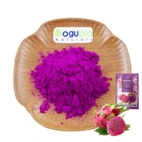 AOGUBIO Nutritional Supplement Organic Freeze Dried Dragon Fruit Powder for Shakes