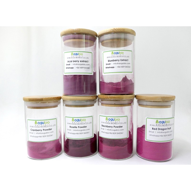 AOGUBIO Supply Superfood Organic Food Additive Freeze-Dried Red Dragon Fruit Powder