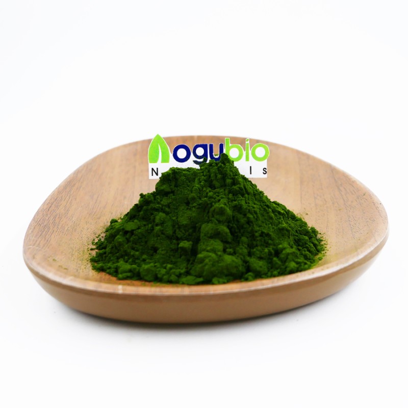 Newest Batch Organic Chlorella Powder Green Chlorella Extract Powder Large Quantity in Stock for Sale