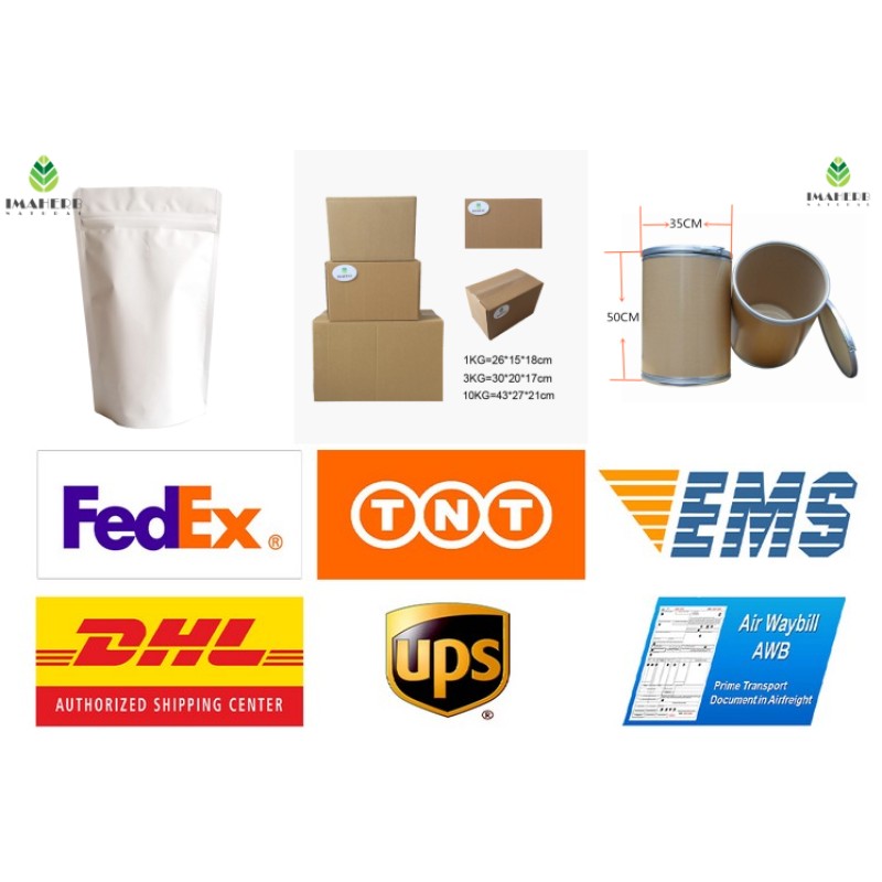 LNT Lentinan 30% 50% Polysaccharide for Food Privated Label Shiitake Mushroom Extract