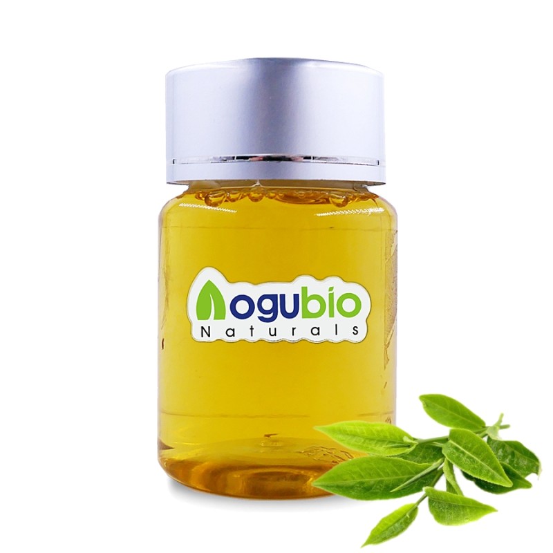 2024 Hot Selling Tea Tree Oil Own Label Perfume Tea Tree Oil Tea Tree Oil