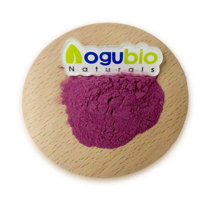 Organic Pure Cranberry Powder Natural Berry Powder Organic Cranberry Juice Powder