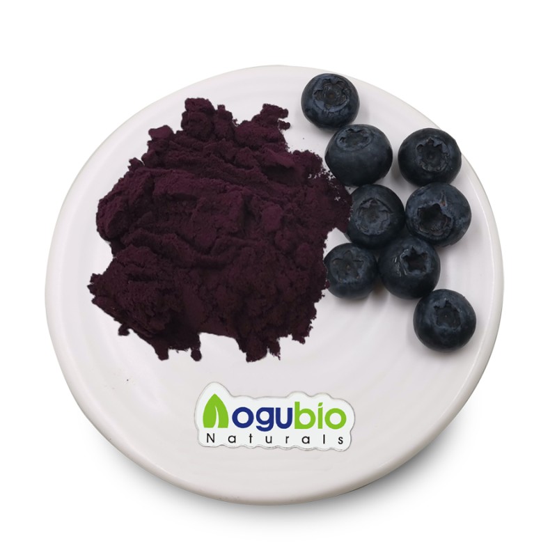 Aogubio Supply Natural Freeze Dried Blueberry Powder Plant Extract Private Label Blueberry Powder