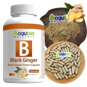 Aogubio Supply High Quality 99% Ginseng Capsules Wholesale Ginseng Capsules