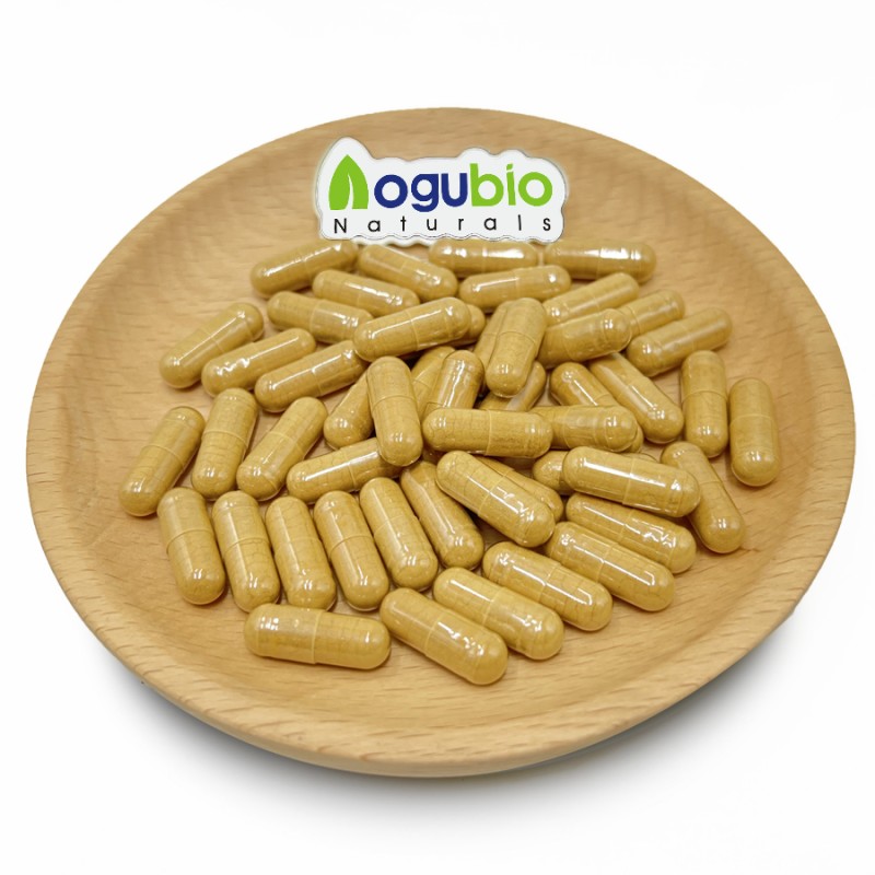 AOGUBIO 30% 50% Polysaccharides Organic Reishi Mushroom Extract