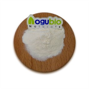 ISO Factory Supply High Quality Natural Sweetener Stachyose 99% Powder with Free Sample