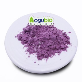 AOGUBIO OEM Private Label Sea Moss and Elderberry Blend Powder