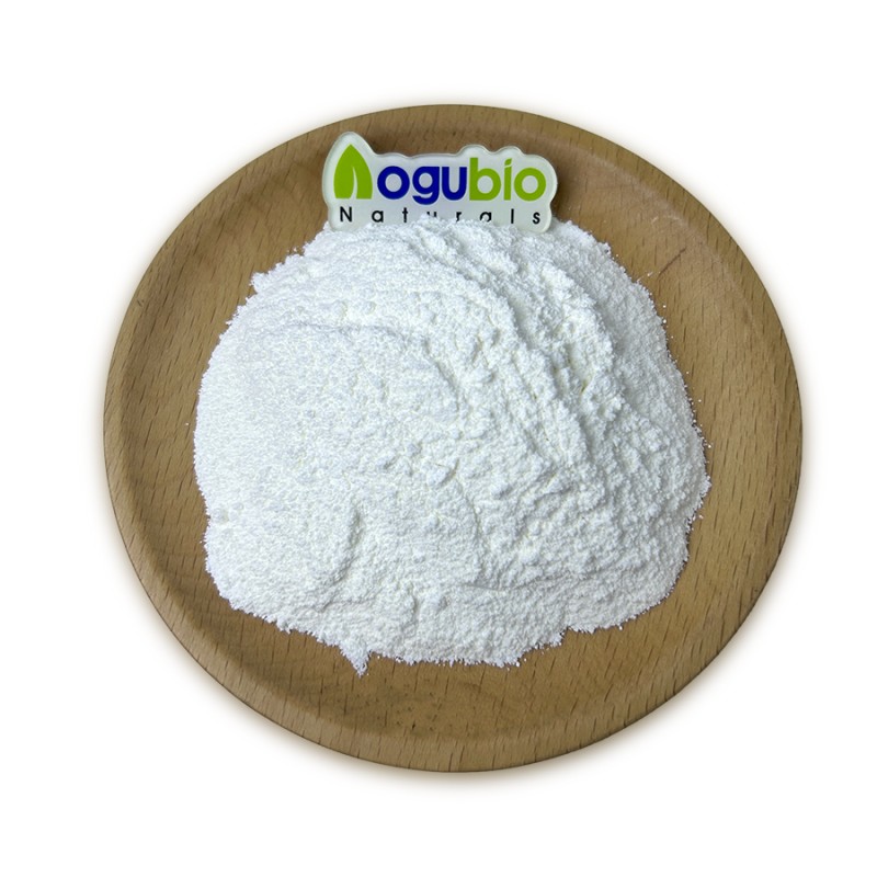 Factory Supply High Quality Lactobacillus Helveticus Powder 3 Billion CFU Lactobacillus Helveticus