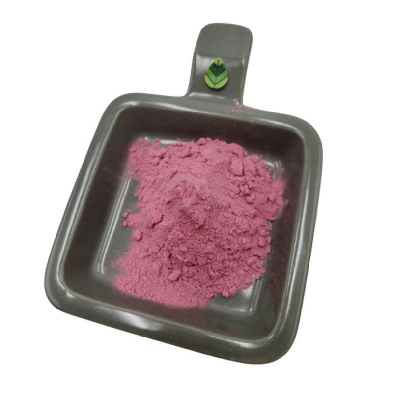 Aogubio Hot Selling New Products Fruit Extract Organic Cherry Powder