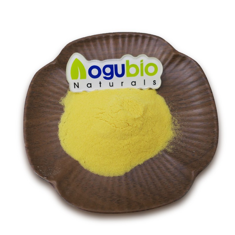Hot Sell Mango Juice Powder Natural Mango Powder