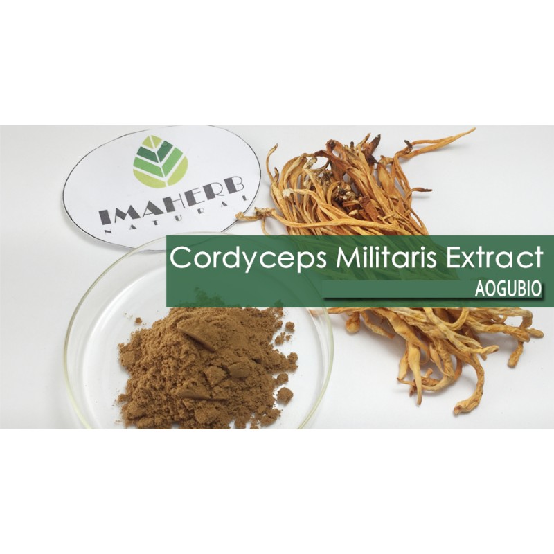 Aogubio Supply Cordyceps Militaris Mushroom Hot Sale Nature Organic Cordyceps Militaris Mushroom Powder