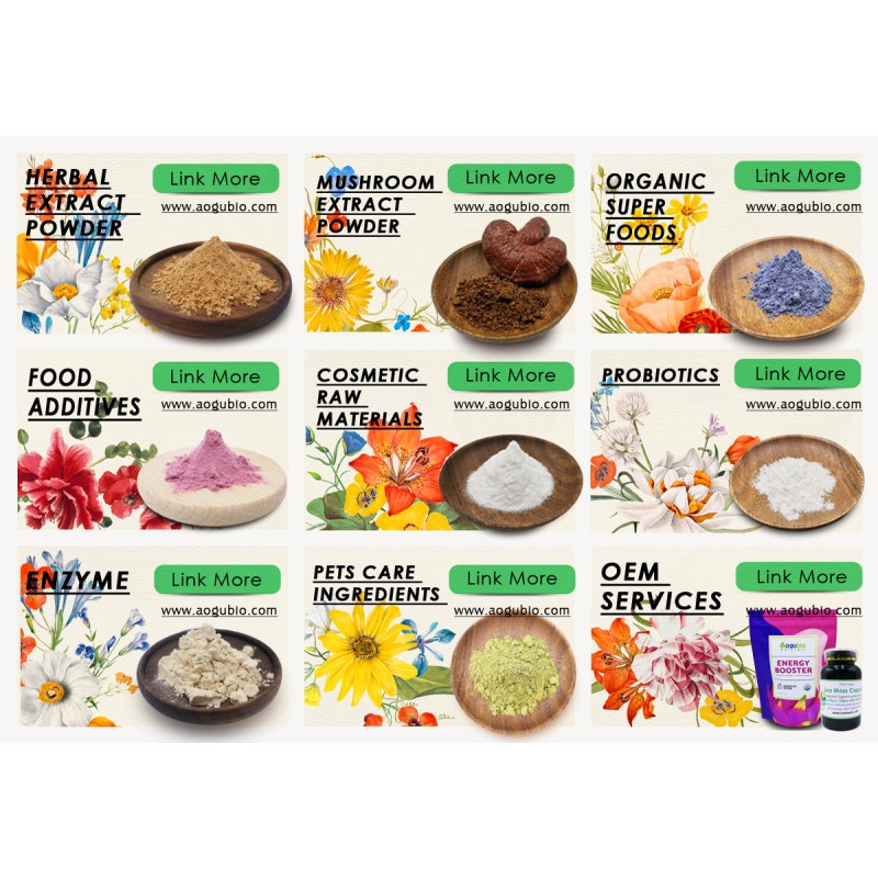 Health Supplement Organic Apple Cider Vinegar Powder Wholesale Price Apple Cider Vinegar Powder