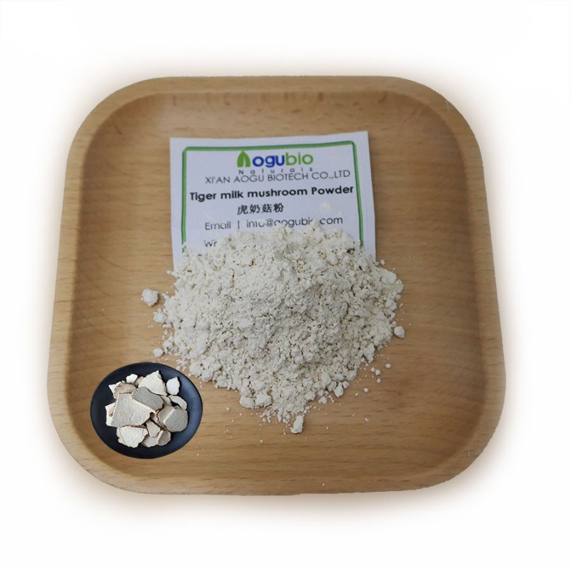 Aogubio Supply High Quality tiger Milk Mushroom Extract