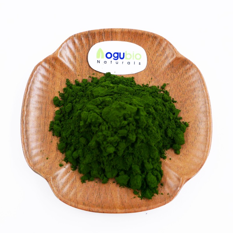 Super Food Green Spirulina Powder High Quality Spirulina Powder