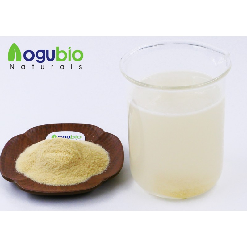 Wholesale Bulk Powder Organic Banana Powder Super Foods Freeze Dried Banana Powder