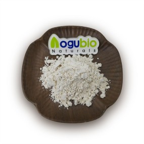High Quality Food Grade Tiger Milk Mushroom Powder Tiger Milk Mushroom Powder