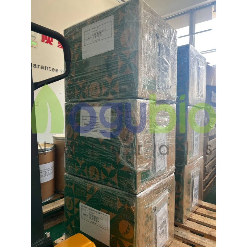 AOGUBIO Supply High Quality Lactobacillus Bulgaricus Probiotics 10 Billion CFU Lactobacillus Bulgaricus