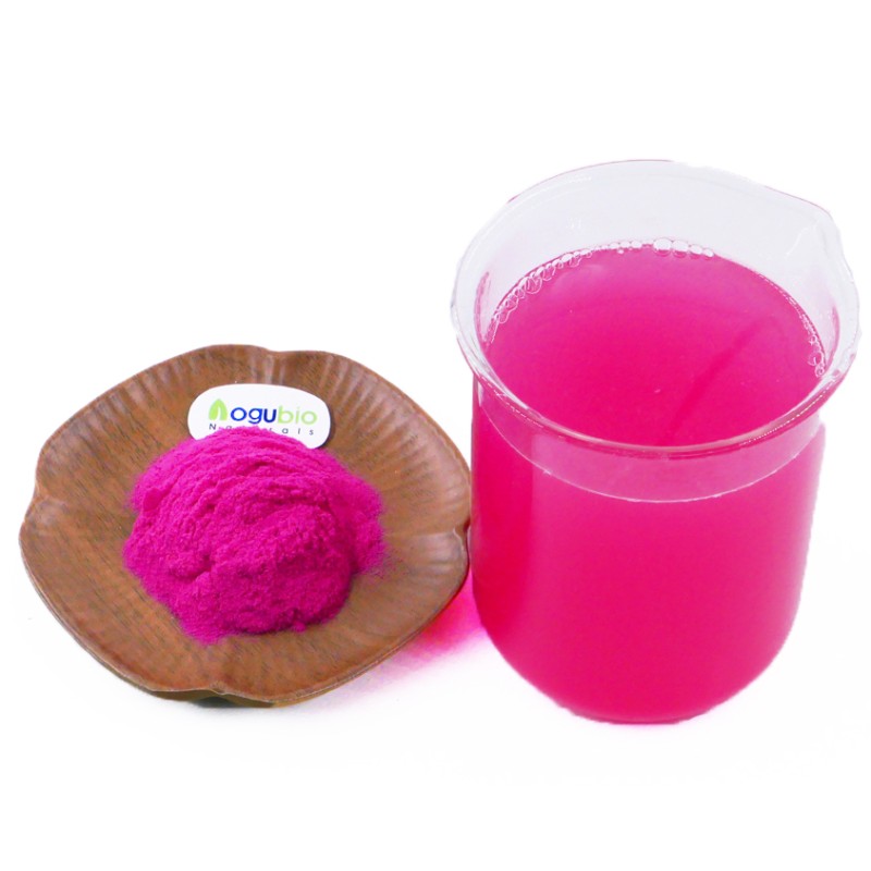 AOGUBIO Supply Superfood Organic Food Additive Freeze-Dried Red Dragon Fruit Powder