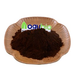 Gold Factory Supply Mushroom Coffee Lion's Mane and Chaga and Mushroom Powder