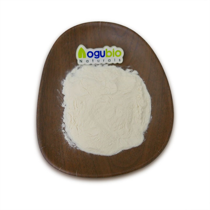 ISO Factory Supply High Quality Natural Sweetener Stachyose 99% Powder with Free Sample