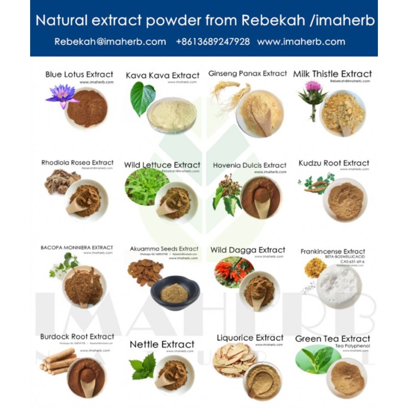 AOGUBIO Natural OEM Sophora Japonica Extract 95% 98% Isoquercetin Powder