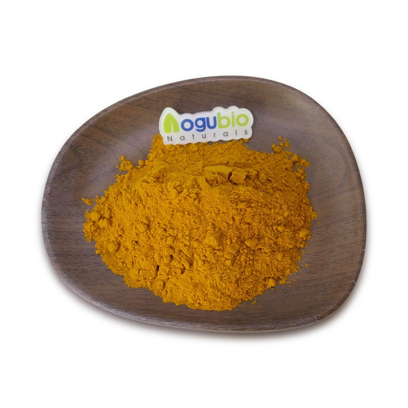 Aogubio OEM Private Label Pure Organic Plant Extract Turmeric Powder Turmeric Root Powder