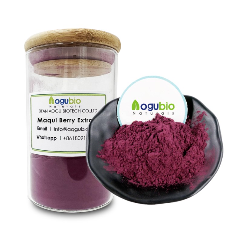 OEM Maqui Berry Freeze-dried Juice Powder Organic Maqui Berry Extract Powder