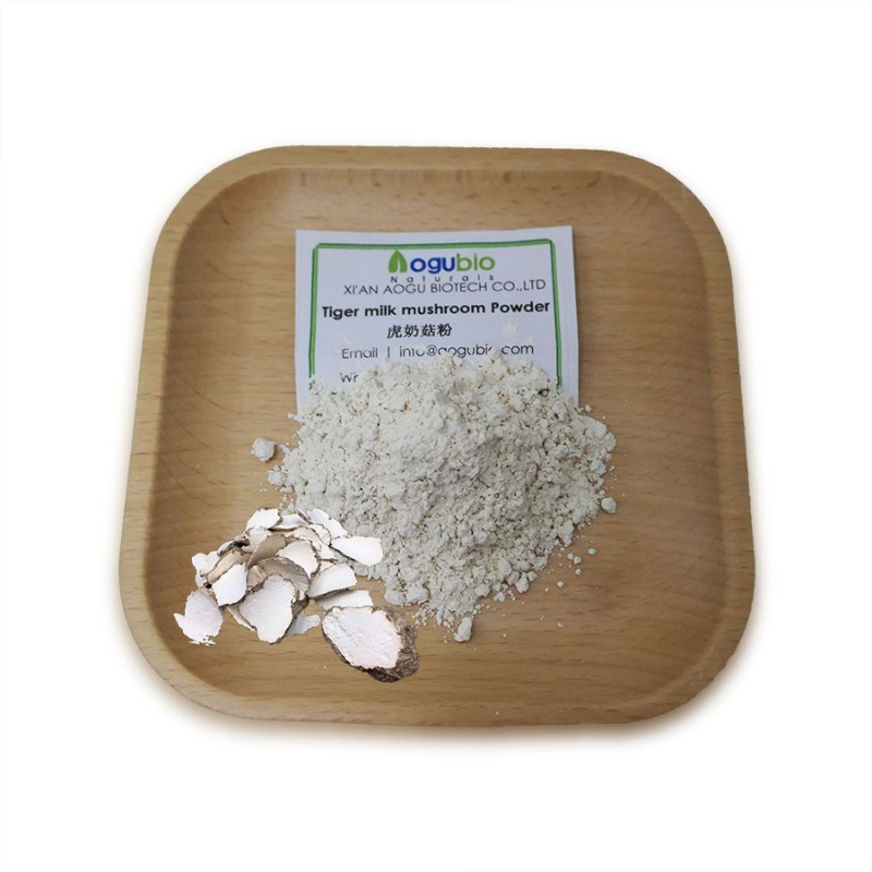 Aogubio Supply High Quality tiger Milk Mushroom Extract