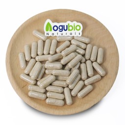 Aogubio Supply High Quality 99% Sea Moss Capsuleswholesale  Sea Moss Capsules