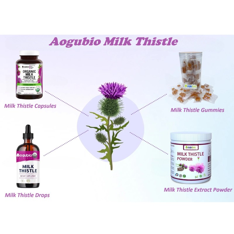 Factory Supply Milk Thistle Extract Capsule OEM Customization Supplement Natural Supplement Milk Thistle Extract Capsules