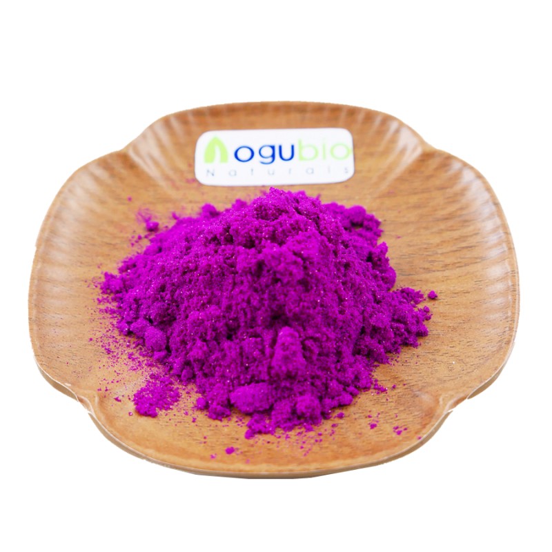 Aogubio OEM Organic and Natural Freeze Dried Red Dragon Fruit Pitaya Fruit Powder