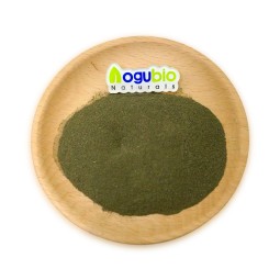 AOGUBIO Natural Organic Bulk Indian Hair Care Amla Powder