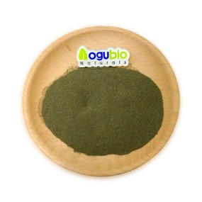 AOGUBIO Natural Organic Bulk Indian Hair Care Amla Powder