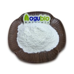 Factory Supply High Quality Lactobacillus Helveticus Powder 3 Billion CFU Lactobacillus Helveticus
