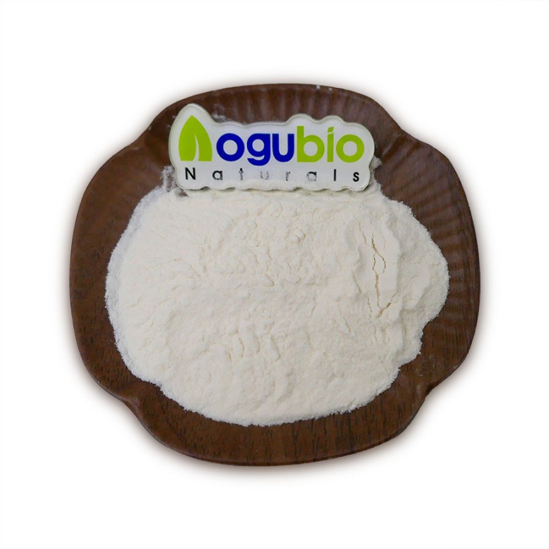 ISO Factory Supply High Quality Natural Sweetener Stachyose 99% Powder with Free Sample