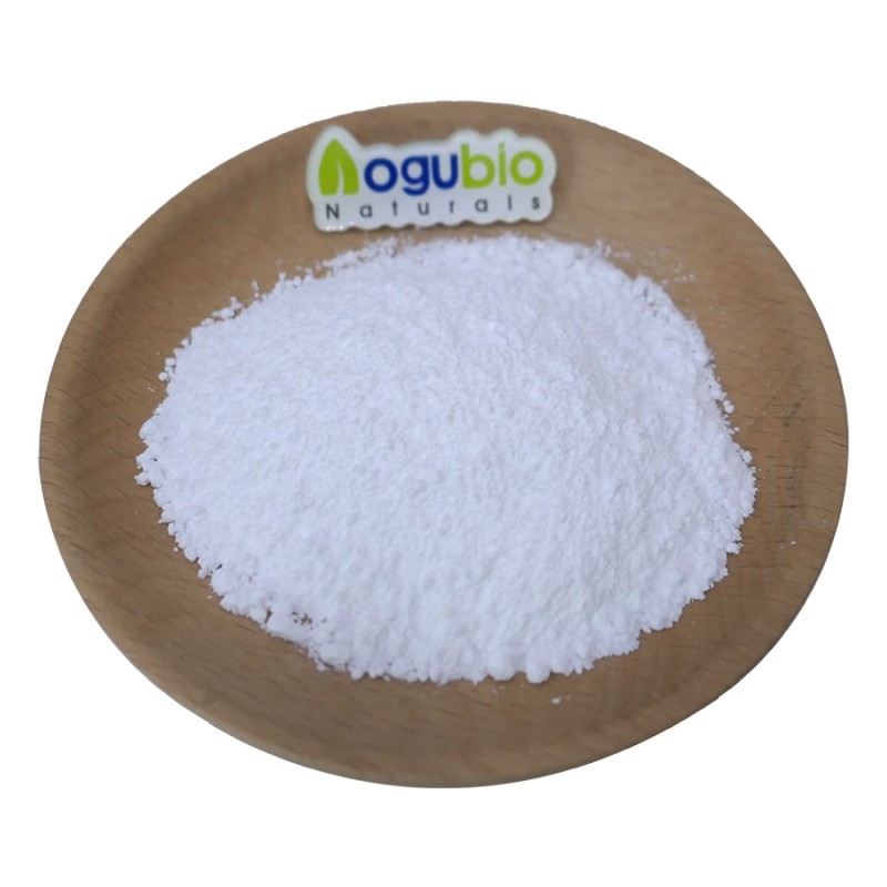 Aogubio Wholesale Sodium Caseinate 9005-46-3 Food Additive Sodium Caseinate with Good Price