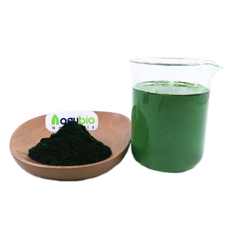 Newest Batch Organic Chlorella Powder Green Chlorella Extract Powder Large Quantity in Stock for Sale