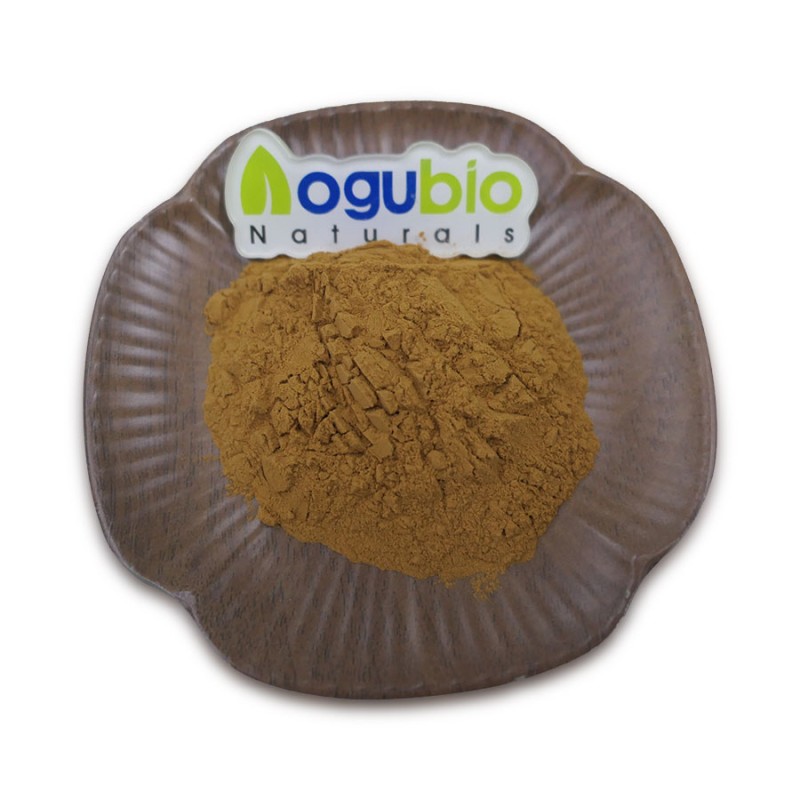 Aogubio Factory Supply High Quality Bamboo Shoot Extract Bamboo Shoot Powder