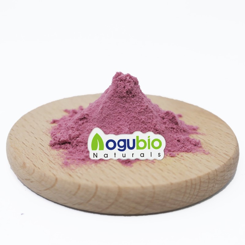 Water Souble Organic Cherry Powder Acerola Cherry Powder
