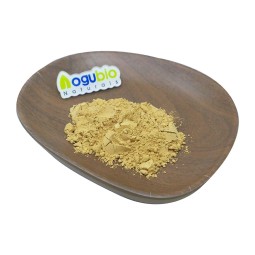 Natural and Organic Certification Lion's Mane Mushroom Powder in Bulk Stock