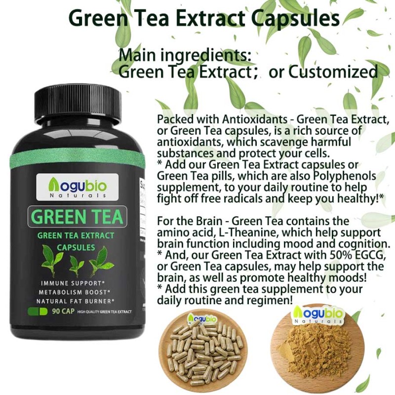 Aogubio Supply High Quality 99% Green Tea Capsules Wholesale  Green Tea Capsules