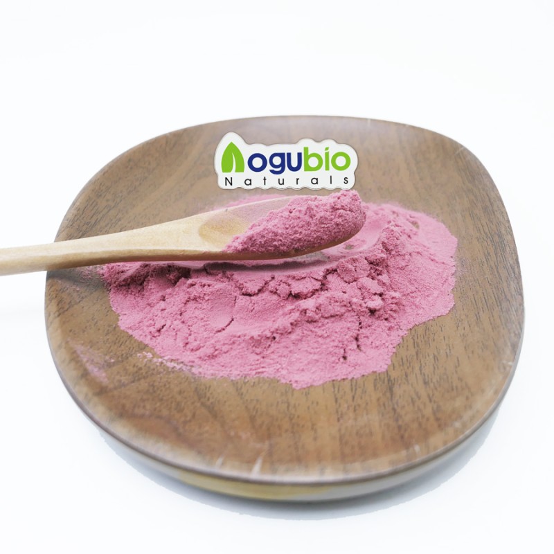 Water Souble Organic Cherry Powder Acerola Cherry Powder