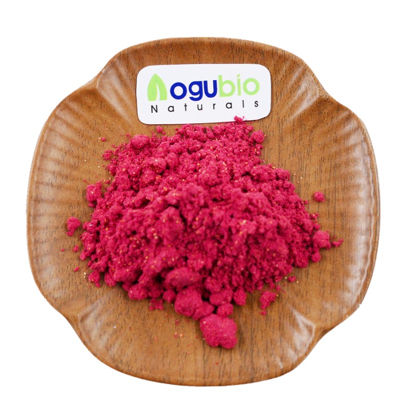 AOGUBIO Fruit Powder OEM Private Label Organic Freeze Dried Strawberry Powder