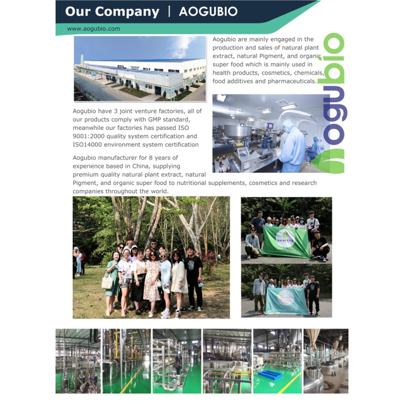 Natural and Organic Certification Lion's Mane Mushroom Powder in Bulk Stock