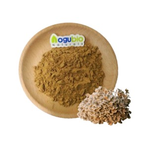 Top Quality Zhuling Extract 10:1 Polyporus Umbellatus Mushroom Extract